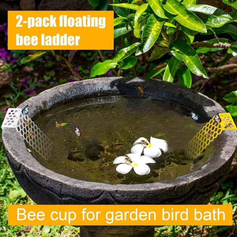 Bee Insect Drinking Bee Ladder Insect Floating Bee Ladder