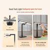 Panasonic AAAAA Eye-Protection Smart LED Desk Lamp CN plug (adapter included)