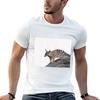 Solitude Numbat by Tonileeart TShirt T Shirts for Unisex Cotton Funny T Shirts with Prints TShirt