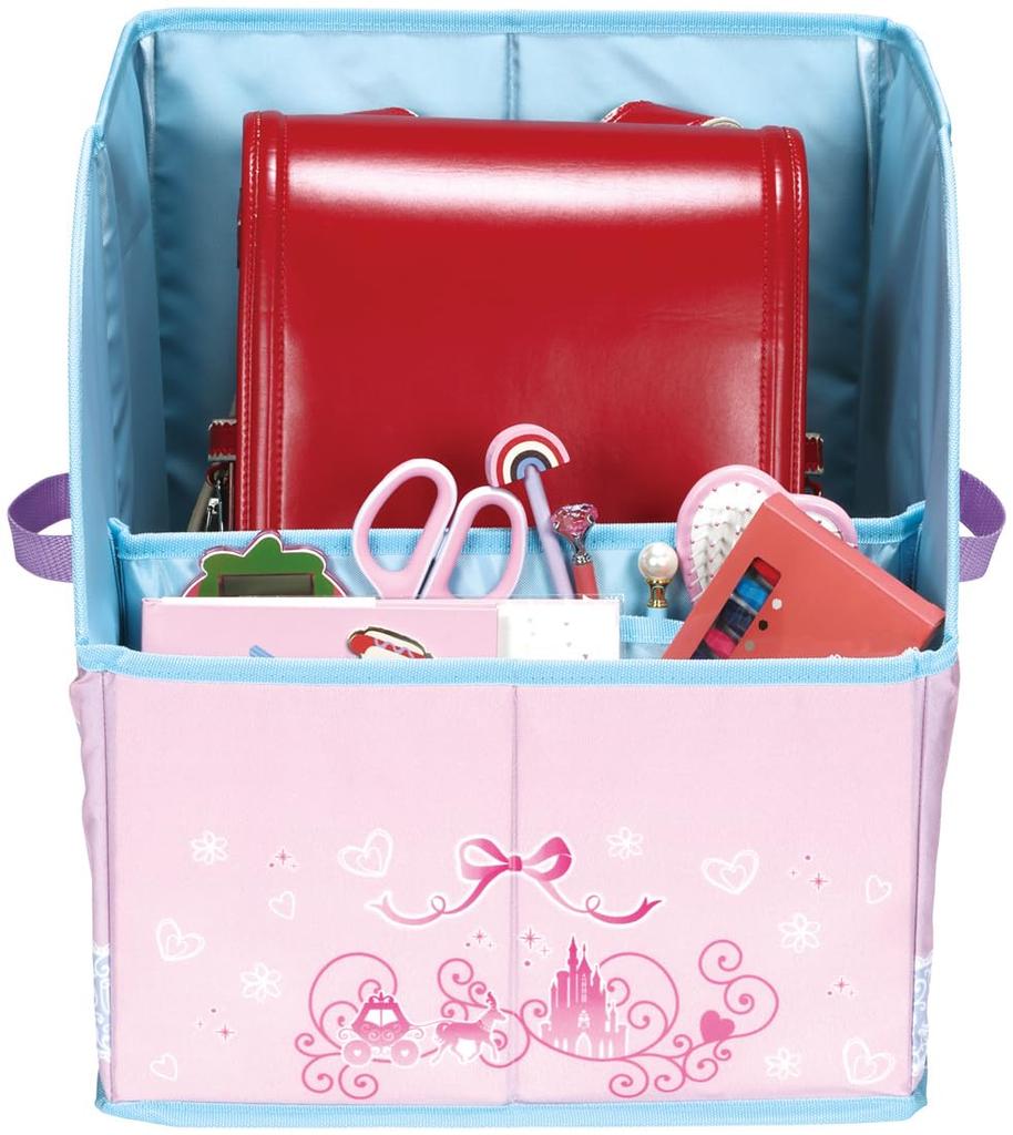 Skater School Backpack Storage Princess SRBX1 Case, Disney,