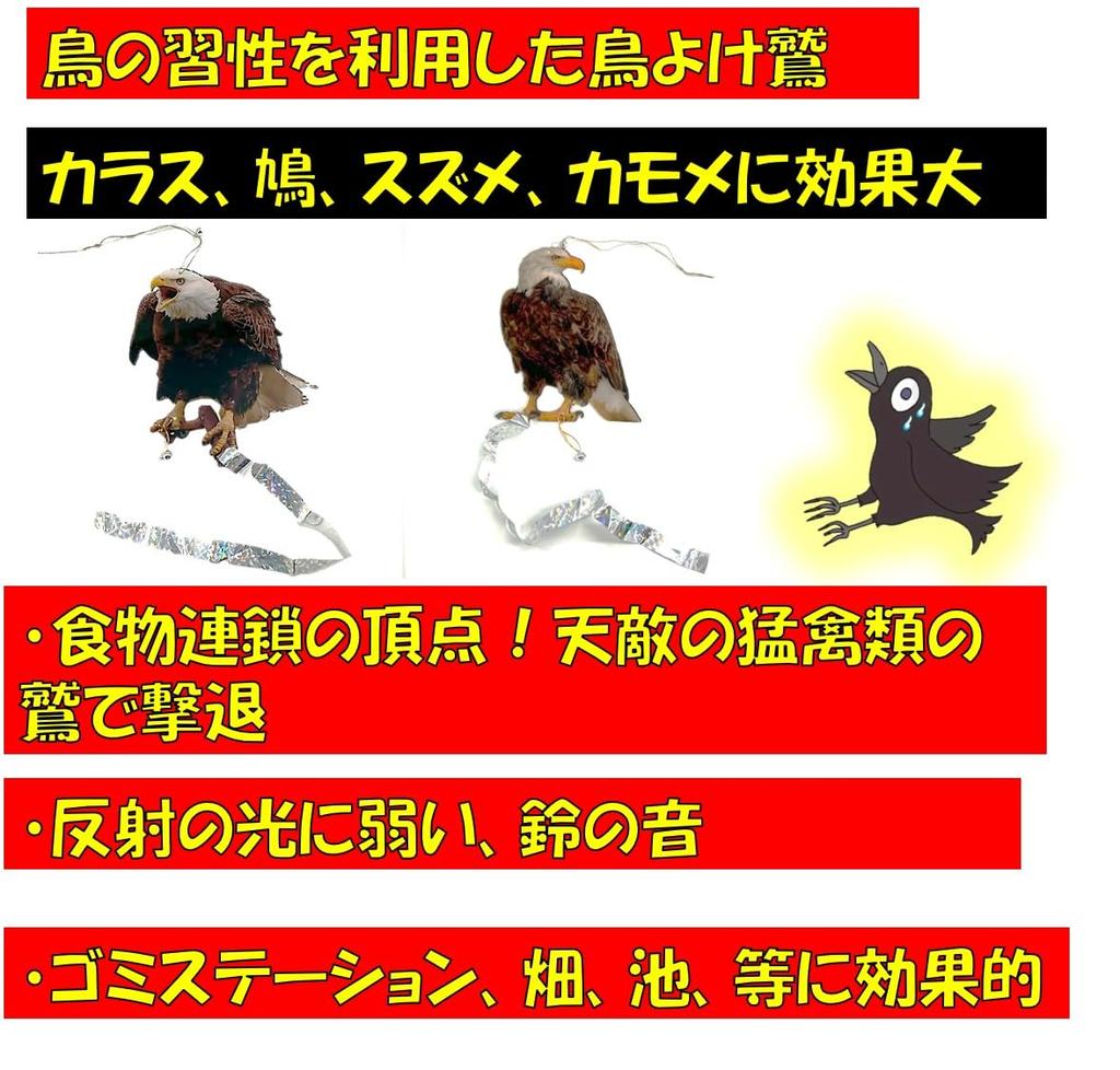 ST TS Bird Repellent, Realistic Eagle, Raptor, Owl, Sparrow, Pigeon, Crow, Bird Pest Control, Balcony, Garden, Field (Type 2x2)