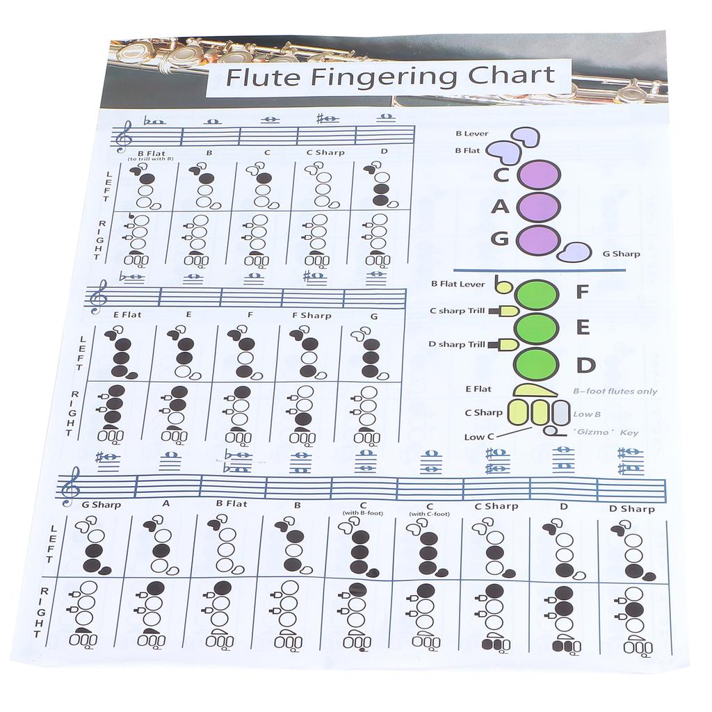 Flute Fingering Chord Chart Beginner Student Practice Teaching Aids Instrument