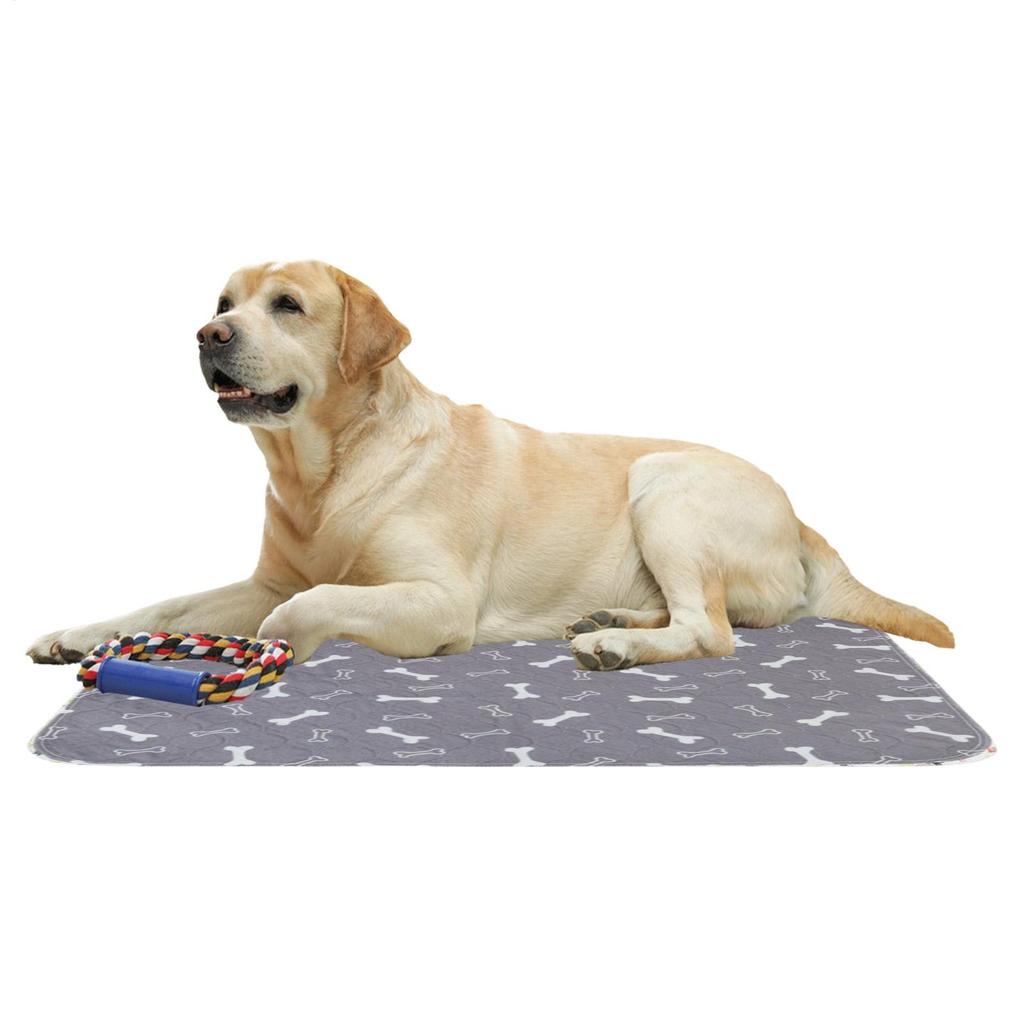 Leak-Proof Dogs Cats Potty Training Mat Reusable Pet Bed Mat Puppy Pee Pads Fast Absorbent Training Mat Home Travel Play Mats