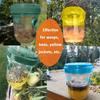 2 Pack Solar Wasp Traps Outdoor Hanging Flying Insect Fly Wasp Mosquito Hornets Killer Catcher Bait Trap NO CHEMICAL