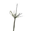 3Pcs For Carp Rig Lead Clips Carp Fishing Lead Core With Helicopter Rigs Braided Fishing Line