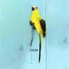 2x Realistic Macaw Parrot Artificial Animal Ornament Toy White