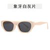 Cat Eye Sunglasses for Women Man Y2K New Fashion Sun Glasses Vintage Shade Summer Polygonal Small FrameEyewear