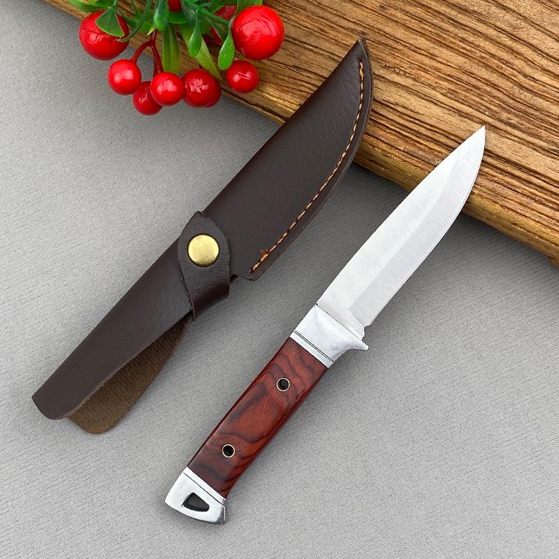 Coltelli per disossare in acciaio inossidabile Mannaia per carne Coltello per pesce Coltello da cucina Chef Filetto Coltello per frutta Utensile per taglierina da cucina