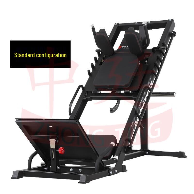Leg Press and Squat Training Machine