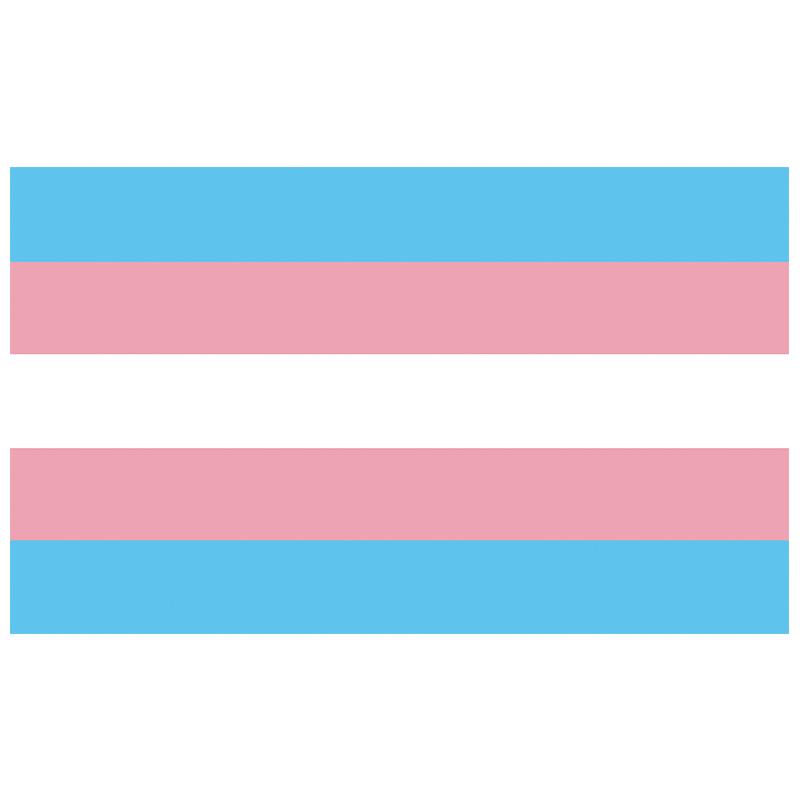 Aerlxemrbrae Bandiera Arcobaleno 150X90CM Stendardo Poliestere 100D occhielli lgbt Gay arcobaleno Progress Pride flag