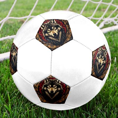 Fußball – Fußbälle