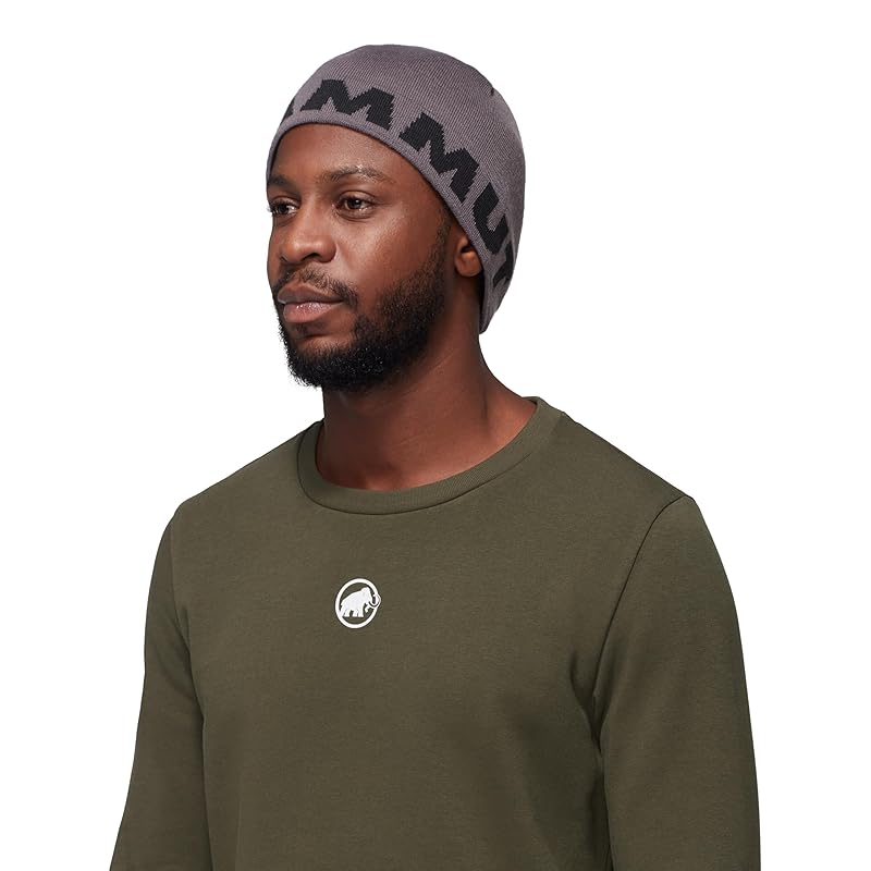 

[Mammut] шапка с логотипом Mammut Logo Beanie 1191-04891 стальной-черный