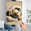 2D Flat, 1pc, Adorable Sleeping Pug Wall Art - Tinplate Metal Sign with Vibrant Colors, 20.32x30.48 Cm Indoor/ Outdoor Hanging Decor for Pet Lovers, D