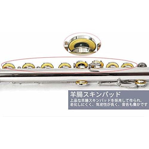 Enhong 16-Hole C Key Flute, Nickel-Plated Cupronickel, Thanksgiving Day Gift Set for Beginners, Advanced Players, and Music Enthusiasts (Silper)