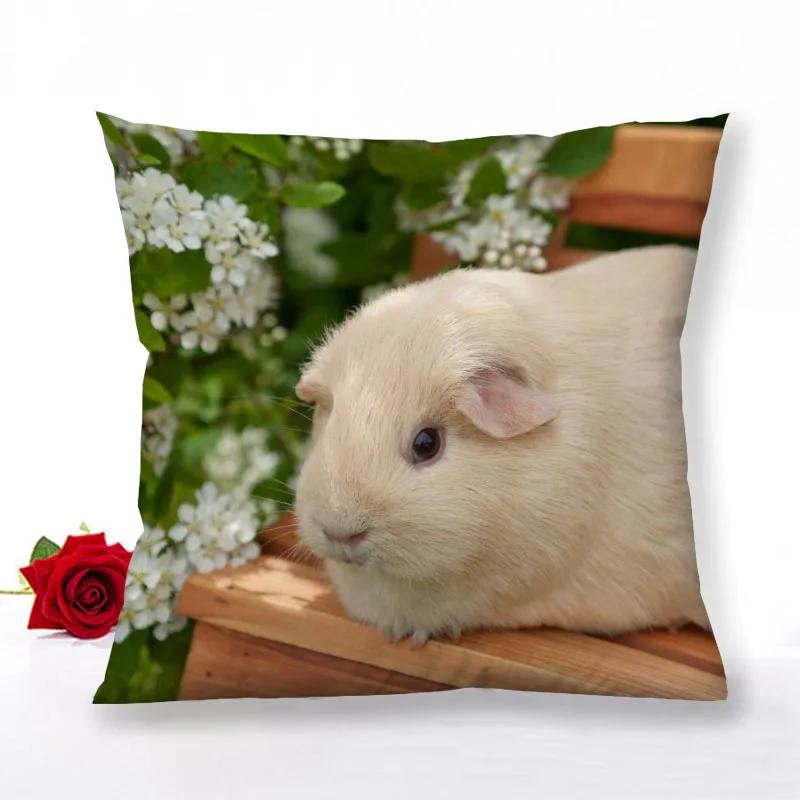 Guinea Pig Zipper Pillowcase Home Decor Satin Square  Bedroom