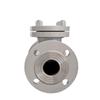 Dual-Purpose Flanged Swing Check Valve