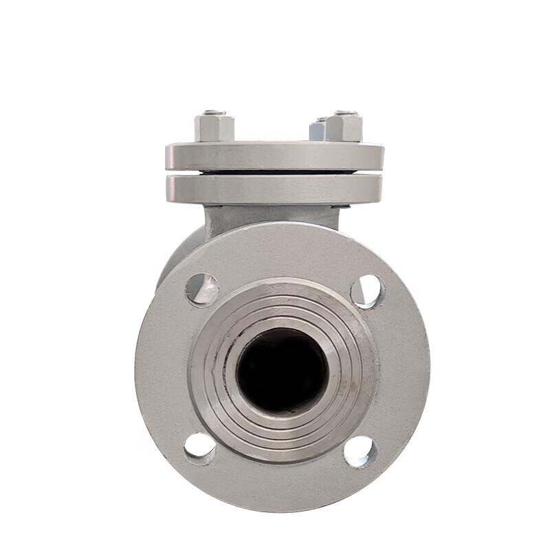 Dual-Purpose Flanged Swing Check Valve
