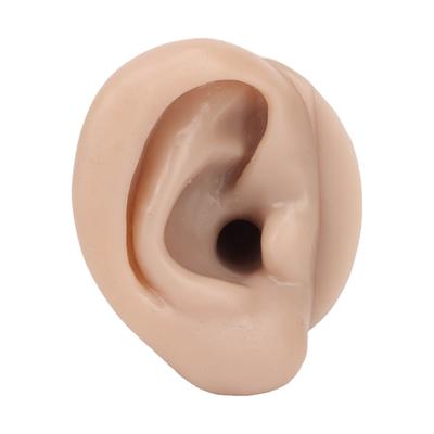 Silicone Piercing Practice Model Simulation Soft Flexible Ears Model for Display Teaching Dark Skin