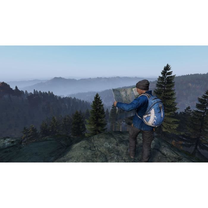 DayZ Jeu PS4
