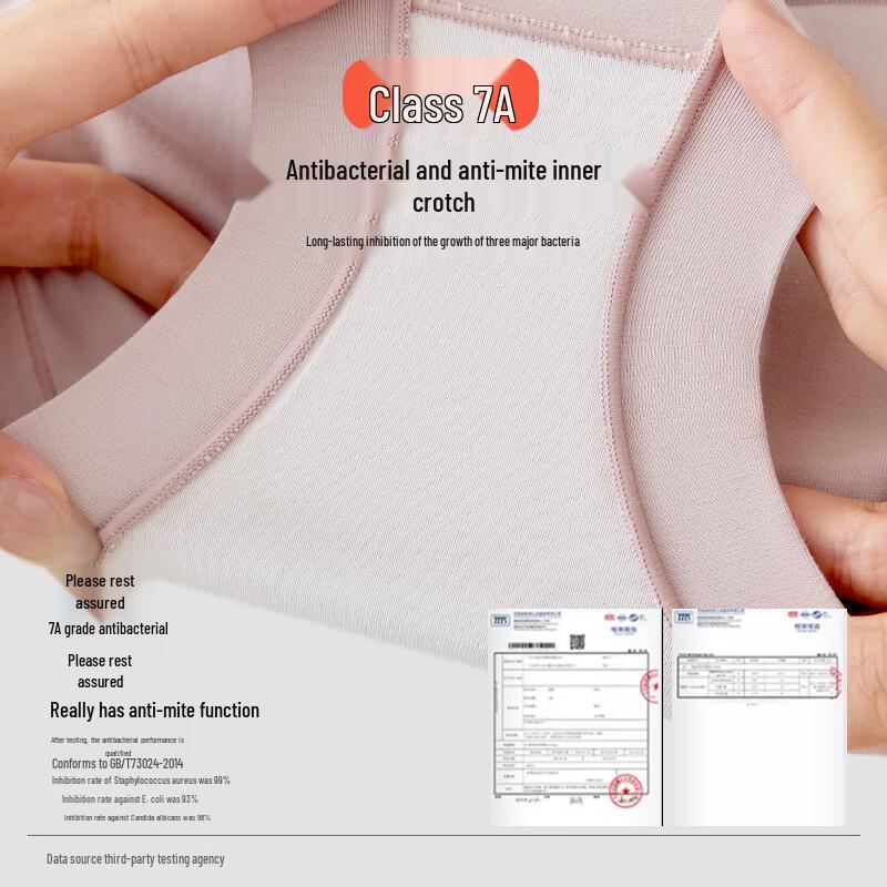 Women's Modal High-Waist Tummy Control Briefs