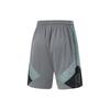 Li Ning Wade Series Letter Splicing Mid-Rise Drawstring Straight-Leg Sports Shorts Men Shorts Shadow-Gray AAPU063-1