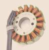 Compatible with UR110T Lezhi QS110T Lizhi UZ110T Engine Stator Coil Magneto Ignition Trigger