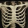 Halloween Movable Skull Skeleton Life Size Full Body Posable Joints Skeletons for Children Girls Boys Party Gift