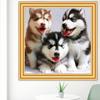 5D DIY diamantová malba křížovým stehem Kruhová vrtačka Husky Diamond Mosaic Home Decor Paintings