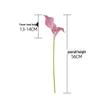 Rainbow Sketcher Artificial Calla Lily - INS Style Home Decoration Flower for Weddings