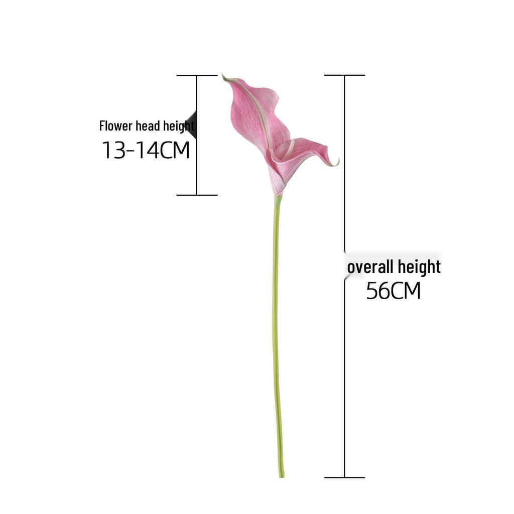 Rainbow Sketcher Artificial Calla Lily - INS Style Home Decoration Flower for Weddings