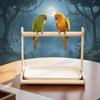 Creative Parrot Desktop Stand Interactive Pet Bird Perching Stand Grinding Claws