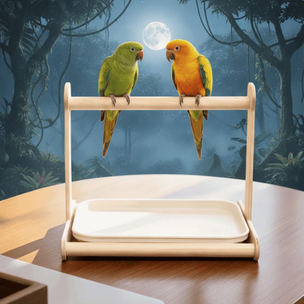 Creative Parrot Potty Training Platform Pet Bird Perching Stand  for Small Parrots