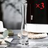 Vaso Trasparente in Vetro Stile Europeo Creativo Bocca Inclinata Artistico Semplice per Piante Idroponiche Fiori Tavolo Decorazione Casa