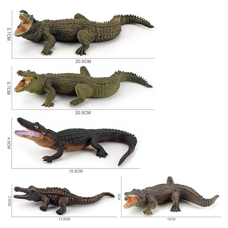 Realistisches PVC-Krokodilmodell mit statischen Tierfiguren für Bildungszwecke