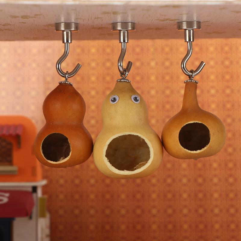 Natural Gourd Shaped Jumping Spider House Magnetic Hanging Hideout Case Small Reptile Accessory