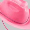 Child Cowgirl Hat Large Brims Cowboy Hat Girl Stage Show Hat Headpieces