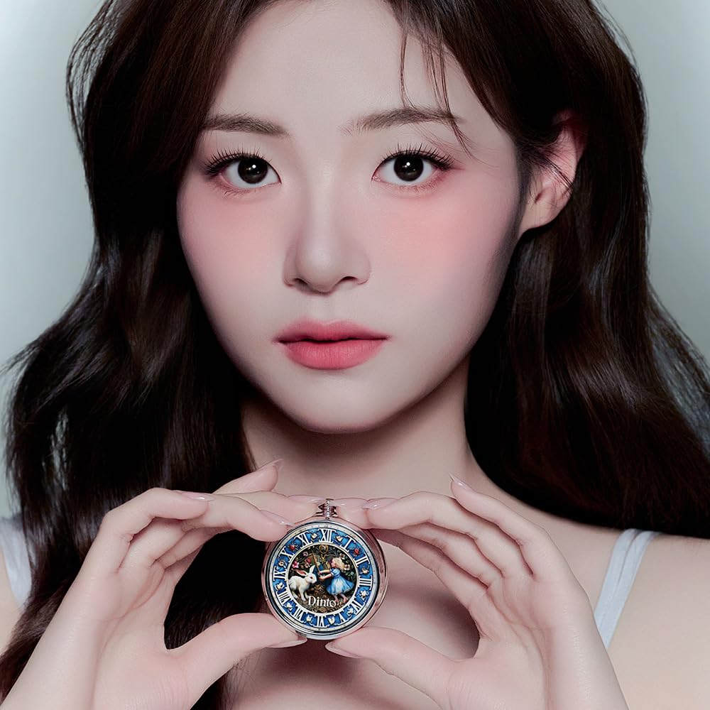 [Dinto] Blurring Time to Kiss & Blush 4.5g