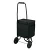 Thermos Soft Cooler 20L All Black