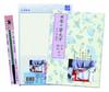 Bokuundo Noshi Writing Practice Set with Brush Pen 29338
