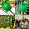 5PCS Green Plastic Rooting Grafting Box Nursery Ball Reusable High Pressure Propagation Ball Home Seeding Gardening Supplies ZYF