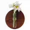 Creative Transparent Glass Micro-Landscape Hydroponic Vase for Home Use