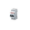 Circuit Breaker - ABB - S202 - 2P - 2A - Thermal-Magnetic - White