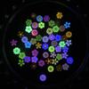 Hot Selling Multiple Colorful 6mm Small Flower Nail Art Decorations Resin Luminous Macaron Color Series Mixed Color Flowers