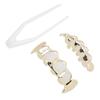 Hollow Plating Teeth Brace Fashionable Metal Teeth Decoration Jewelry for Party