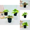 Mini Plastic Green Plant Pot With Realistic Foliage For Home Office Decor