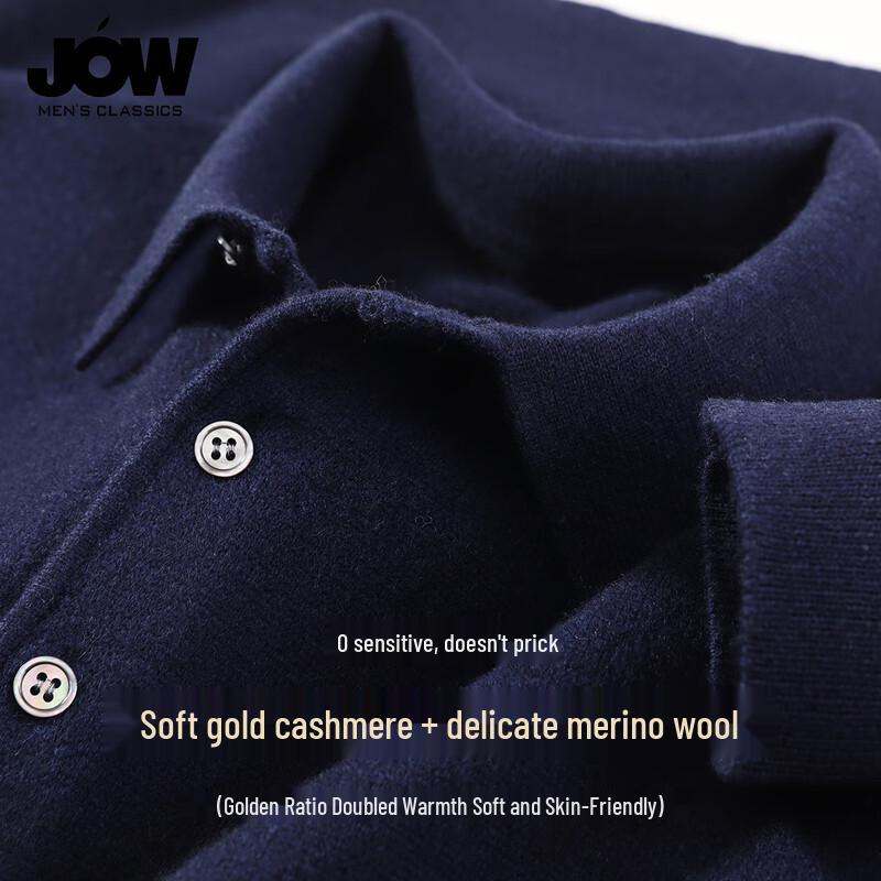 

Мужской кашемировый свитер с воротником поло из мериносовой шерсти JOW M 48