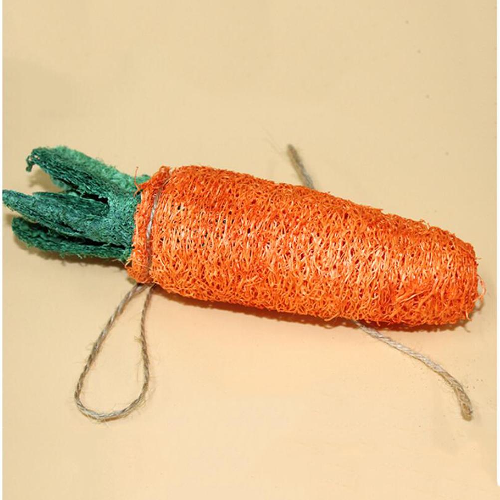 Buy 1 Pc Molar Toy Practical Safe Edible Loofah Carrot Shaped Pet Supplies for Cat Rabbit at