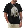 Polar Bear TShirt Unisex Graphic T Shirt TShirt