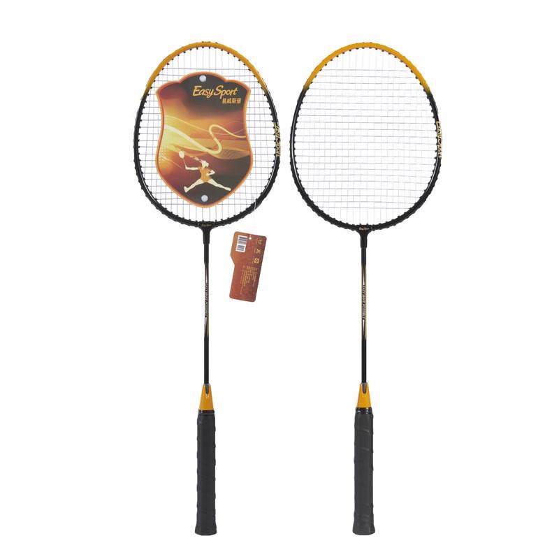 Evisborg Badminton Racket Set