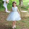 Prinzessin Mesh Abendkleid für Mädchen - Kinderaufführungs- und Partykleid